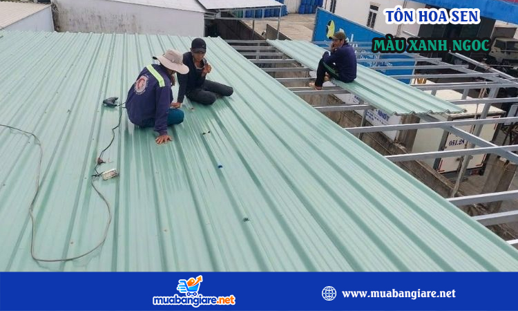 Tôn lạnh hoa sen màu xanh ngọc
